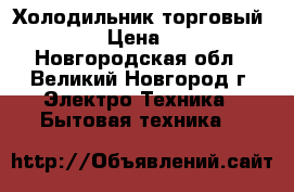 Холодильник торговый Helkama › Цена ­ 15 000 - Новгородская обл., Великий Новгород г. Электро-Техника » Бытовая техника   